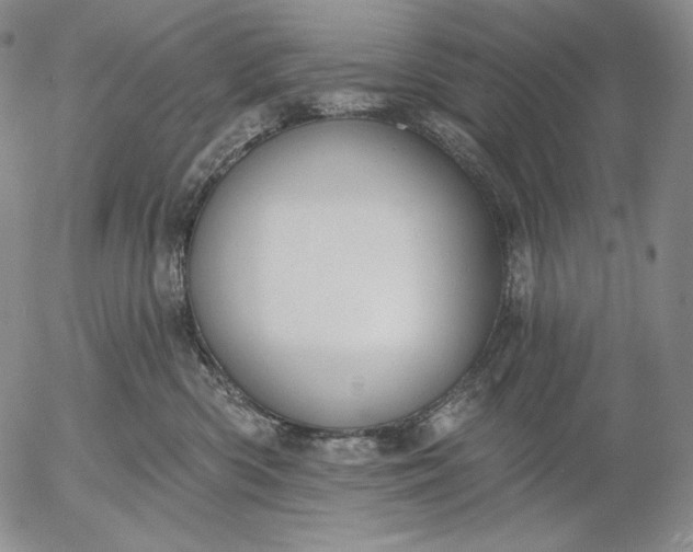 X0000056010426200509021735