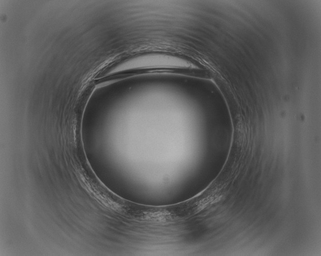 X0000056010446200509021734