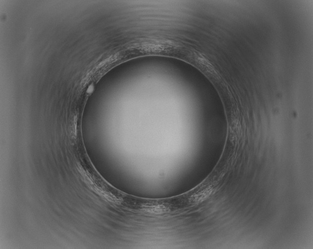 X0000056010454200509021734