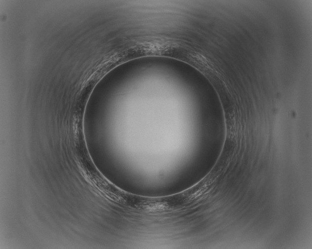 X0000056010456200509021734