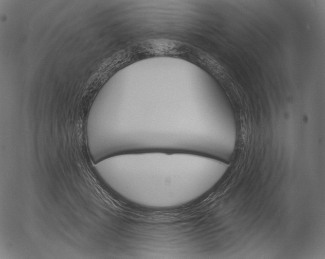 X0000056010461200509021734