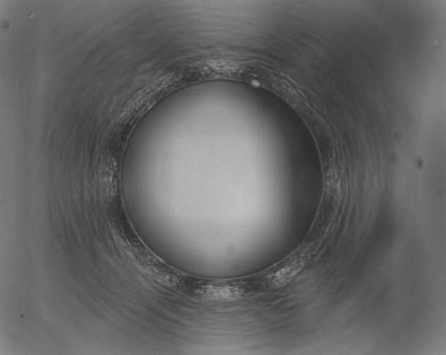 X0000056010464200509021734