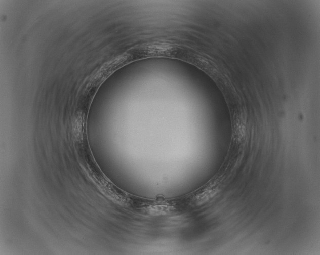 X0000056010468200509021734