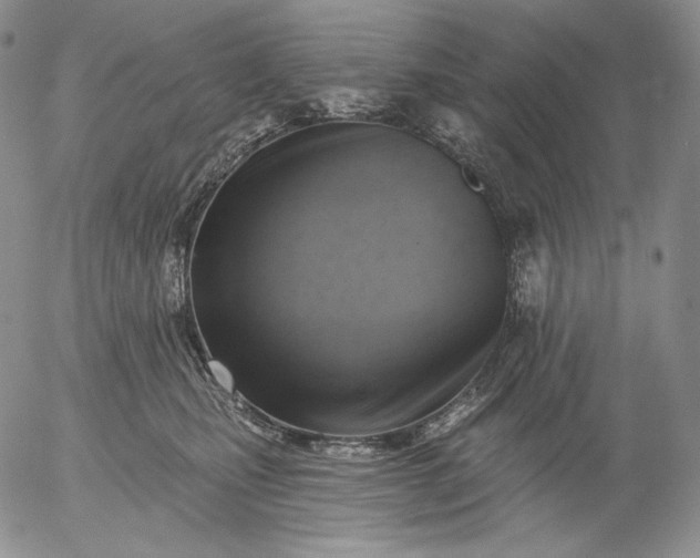 X0000056010471200509021734