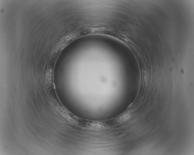 X0000056010475200509021734