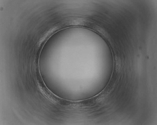 X0000056010482200509021734