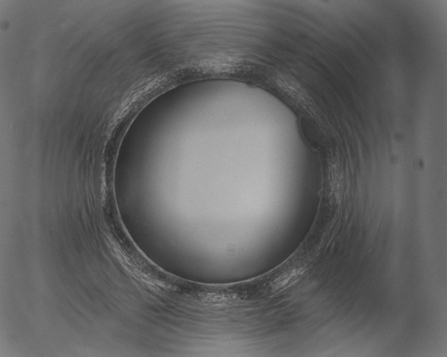 X0000056010494200509021733