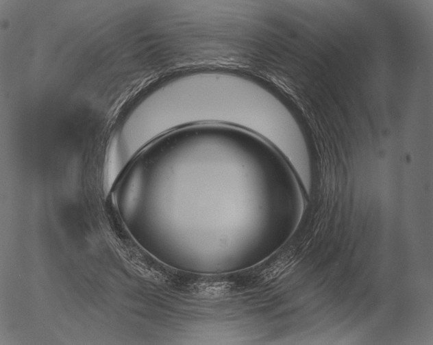 X0000056010495200509021733