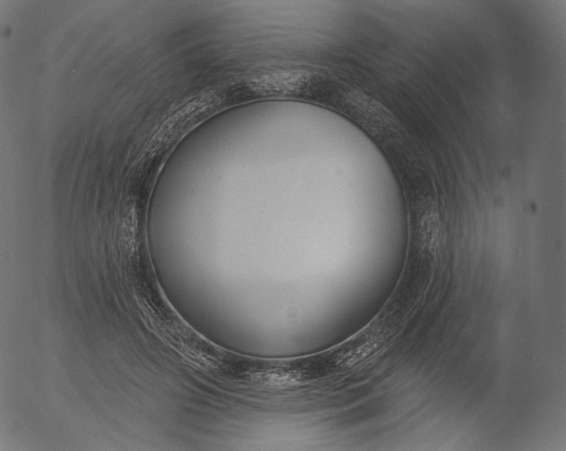 X0000056010498200509021733