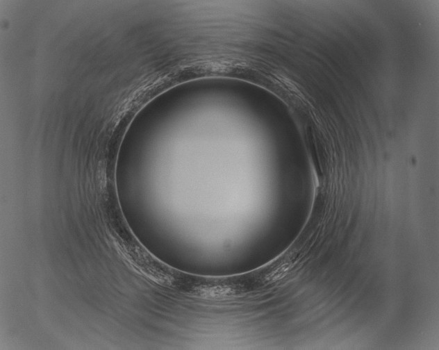 X0000056010500200509021733