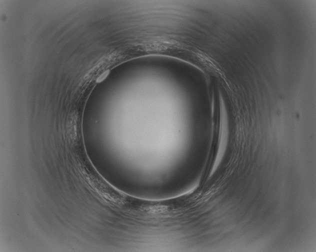 X0000056010501200509021733