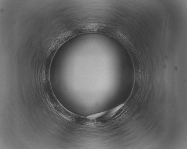 X0000056010504200509021733