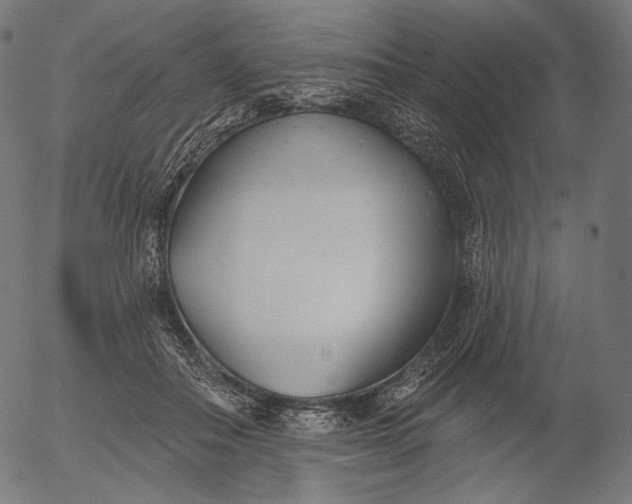 X0000056010506200509021733