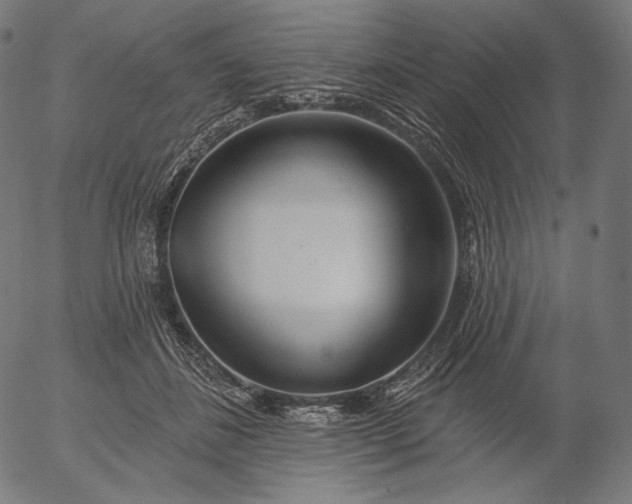 X0000056010508200509021733