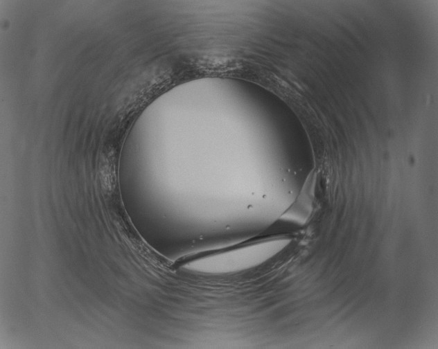 X0000056010515200509021733