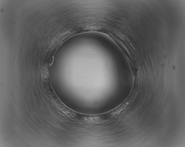 X0000056010517200509021733