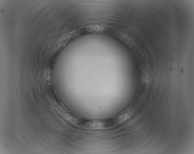 X0000056010518200509021733