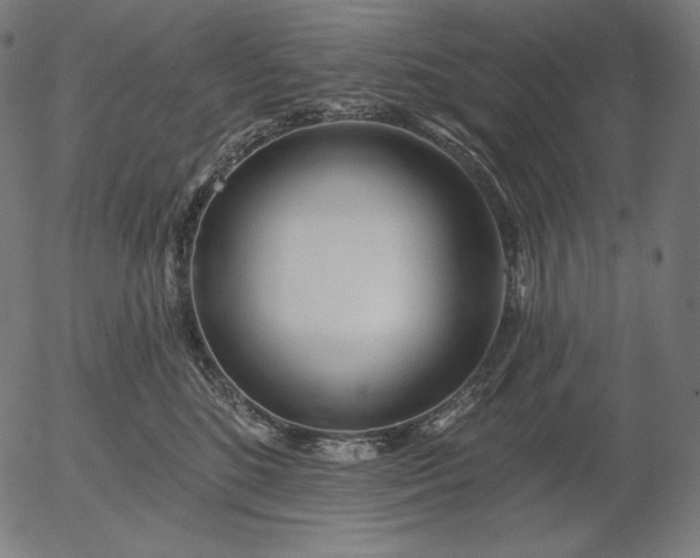 X0000056010520200509021733