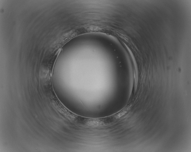 X0000056010521200509021733