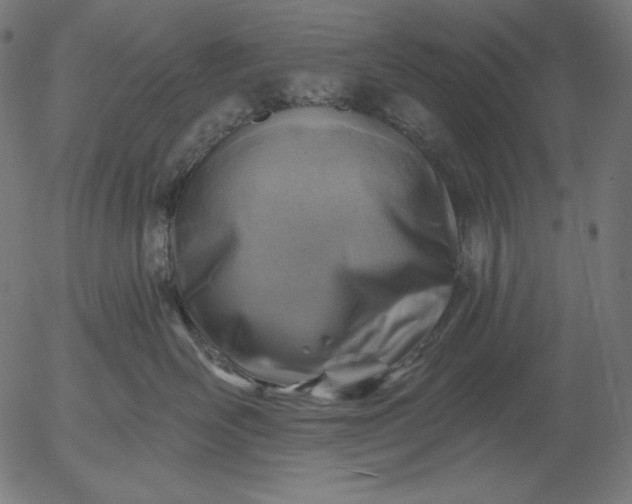 X0000056010526200509021733