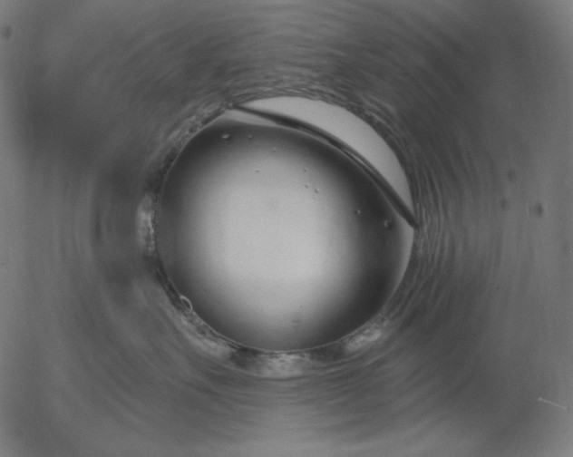 X0000056010527200509021733
