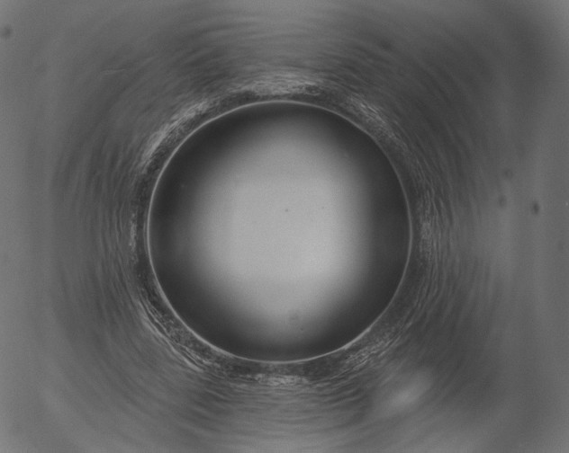 X0000056010539200509021732