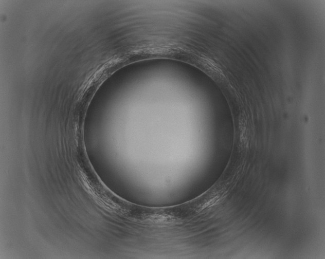 X0000056010542200509021732