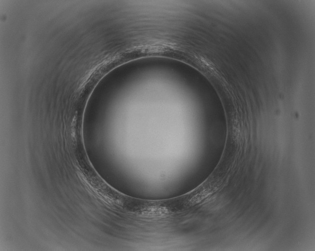 X0000056010543200509021732