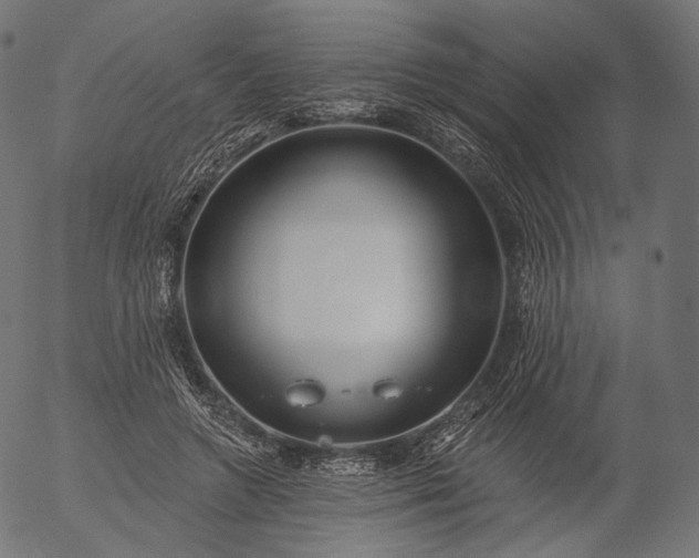 X0000056010546200509021732