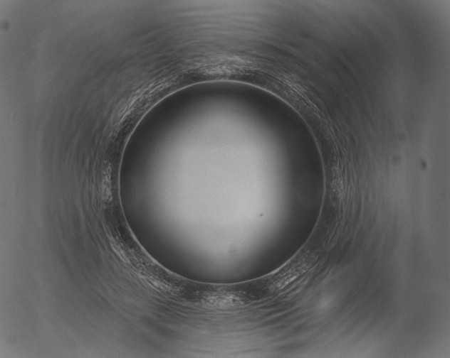 X0000056010547200509021732