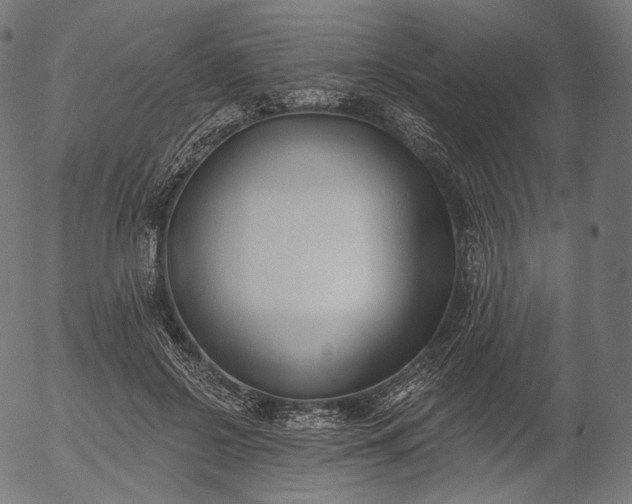 X0000056010550200509021732