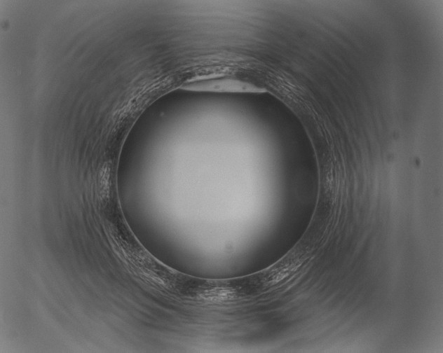 X0000056010551200509021732