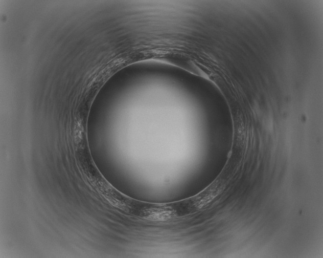 X0000056010555200509021733