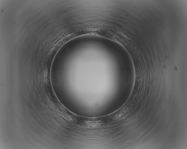 X0000056010556200509021733