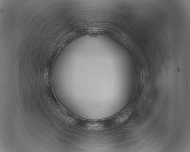 X0000056010557200509021733