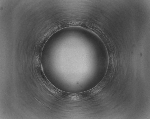 X0000056010564200509021733