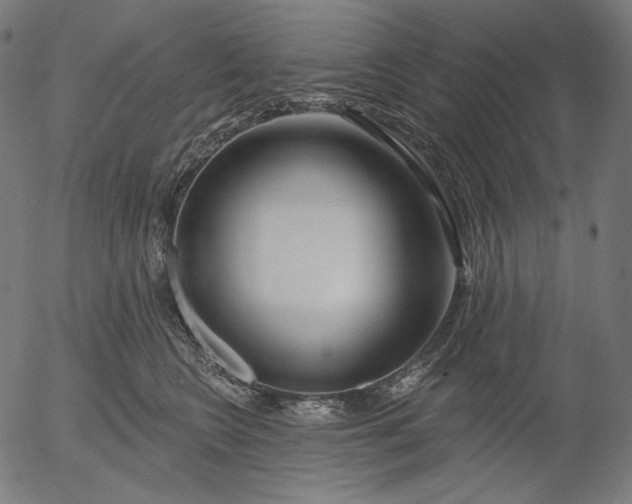 X0000056010566200509021733