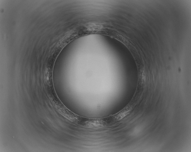 X0000056010567200509021733