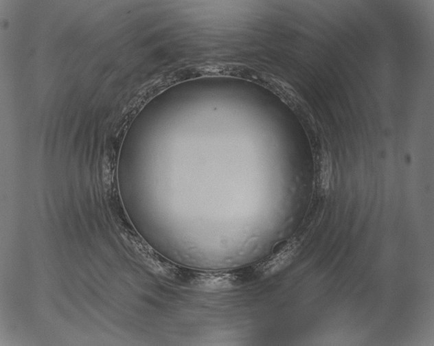 X0000056010569200509021733
