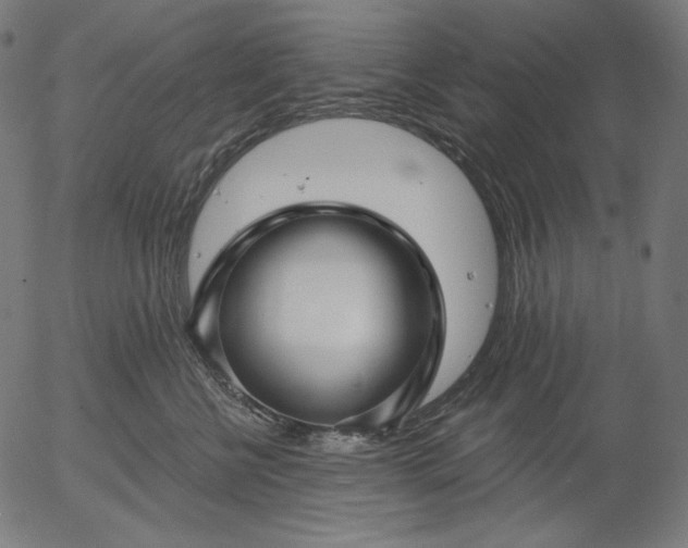 X0000056010570200509021733