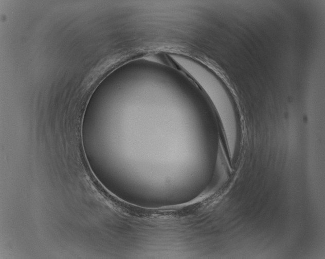 X0000056010577200509021732