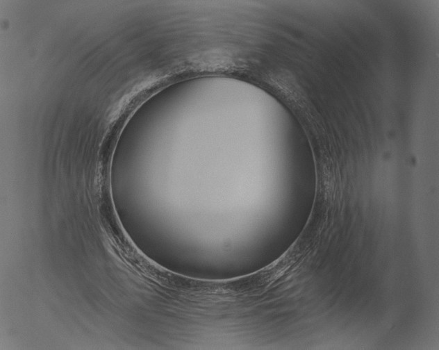 X0000056010583200509021732