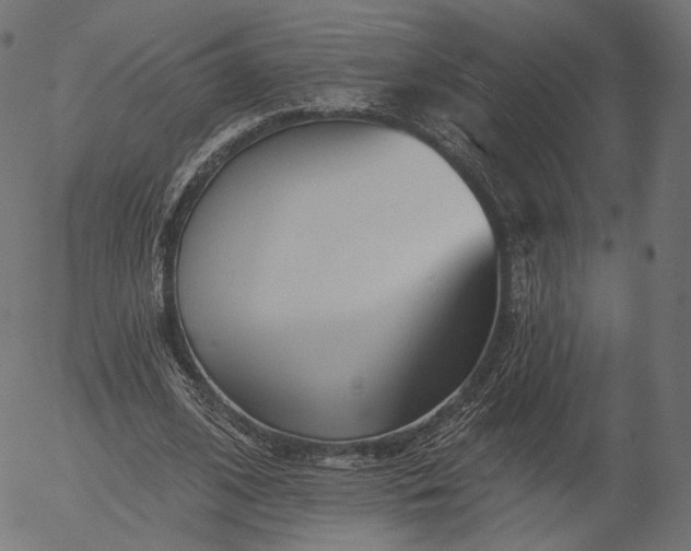 X0000056010584200509021732