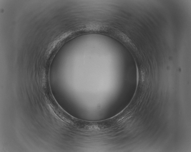 X0000056010588200509021732