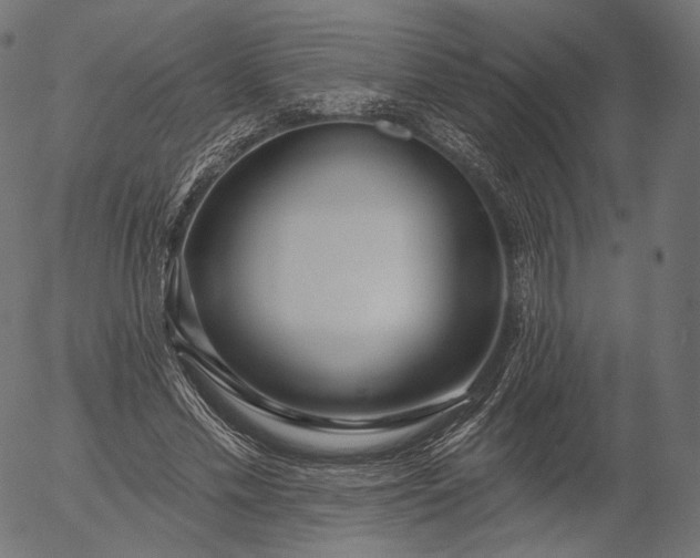 X0000056010589200509021732