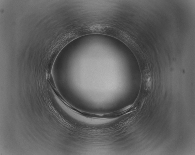 X0000056010593200509021732