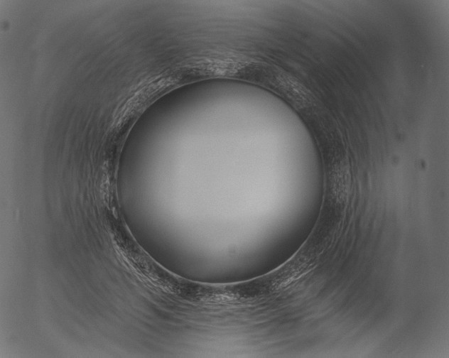 X0000056010594200509021732
