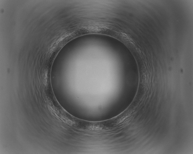 X0000056010596200509021732