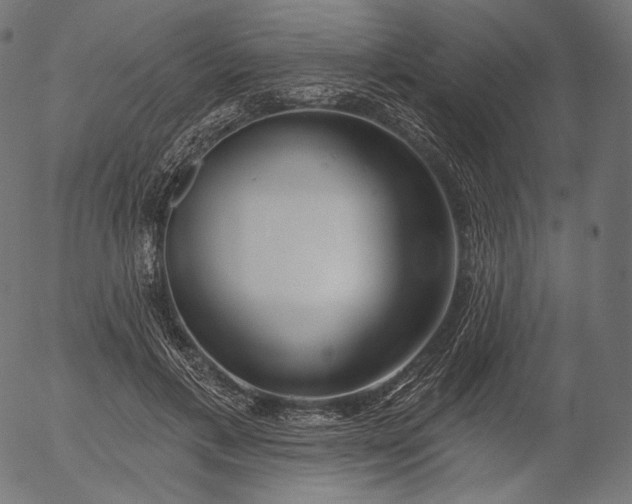 X0000056010597200509021732