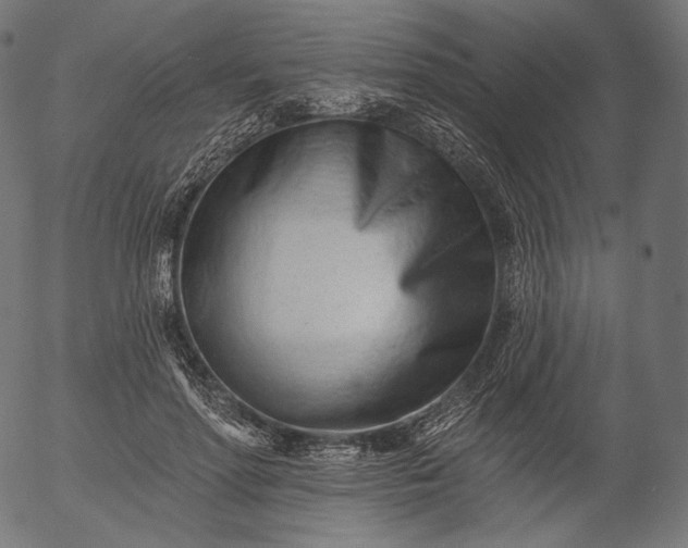 X0000056010598200509021732